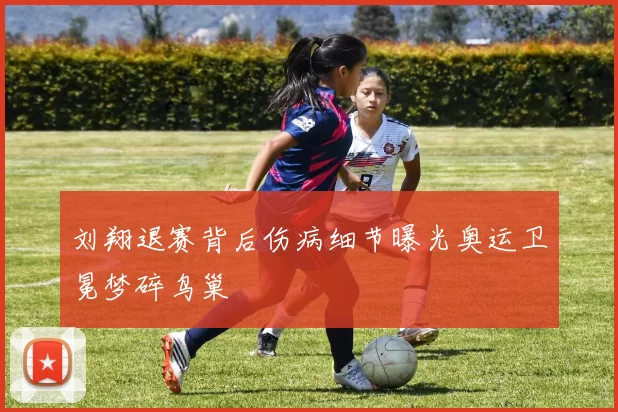 刘翔退赛背后伤病细节曝光奥运卫冕梦碎鸟巢