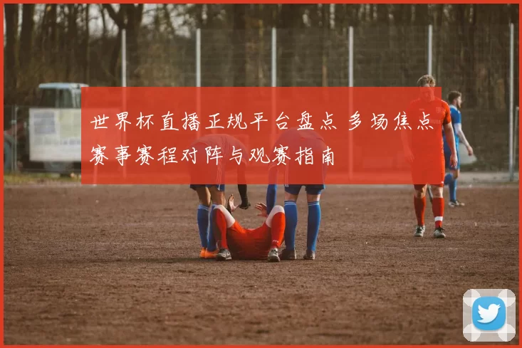 世界杯直播正规平台盘点 多场焦点赛事赛程对阵与观赛指南