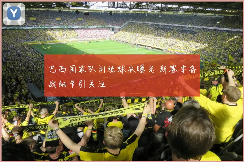 巴西国家队训练球衣曝光 新赛季备战细节引关注