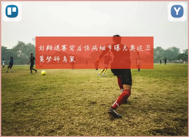 刘翔退赛背后伤病细节曝光奥运卫冕梦碎鸟巢