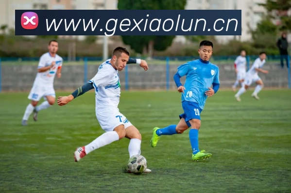 KOK网页版官方网站 - kok(中国)平台生态图